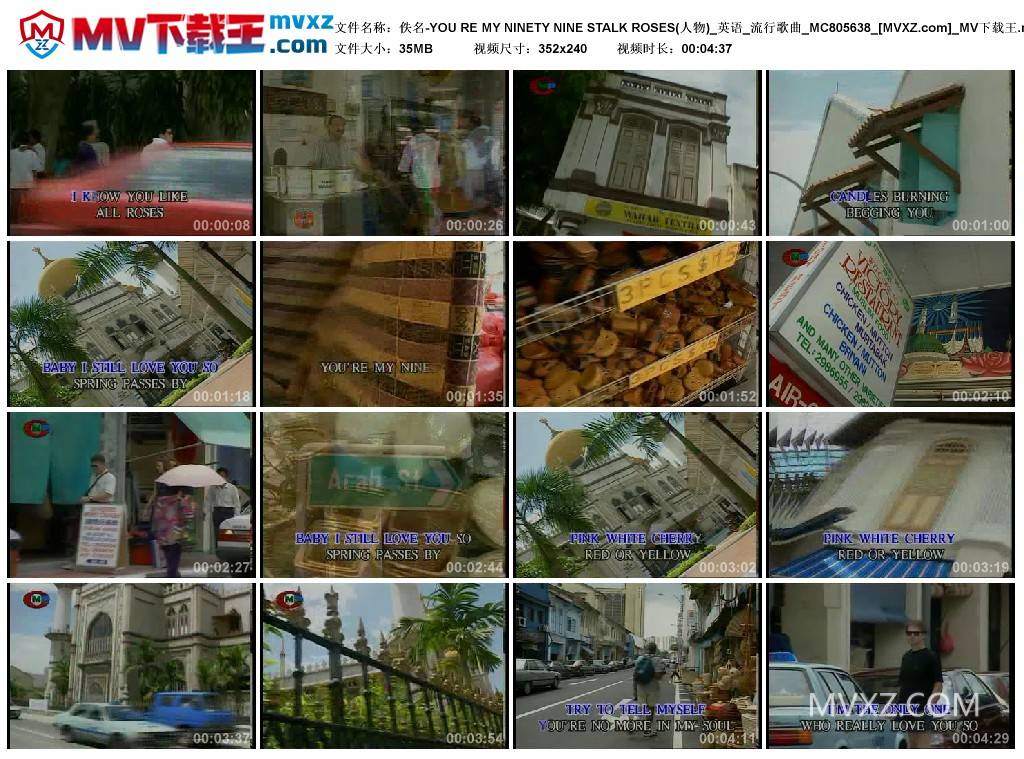 佚名-YOU RE MY NINETY NINE STALK ROSES(人物)_英语_流行歌曲_MC805638